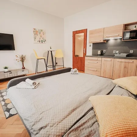 Elegant Studio, 400m From The Square Plzeň