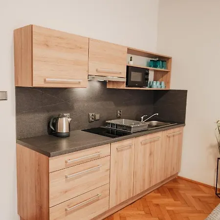 Elegant Studio, 400m From The Square Daire