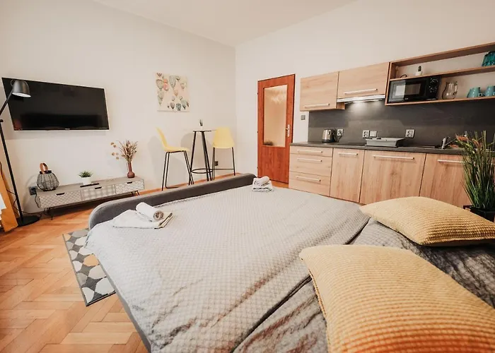 Elegant Studio, 400m From The Square Pilzno