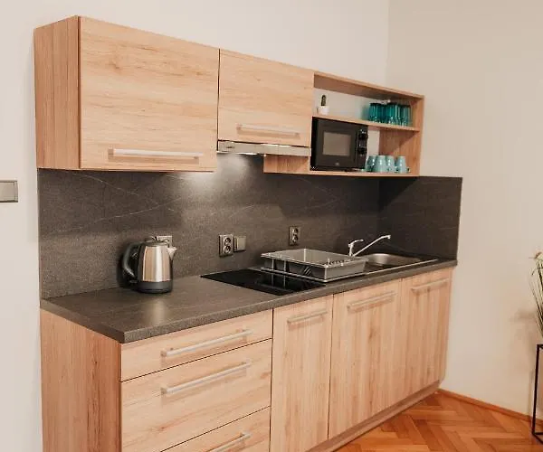 Elegant Studio, 400m From The Square Apartament